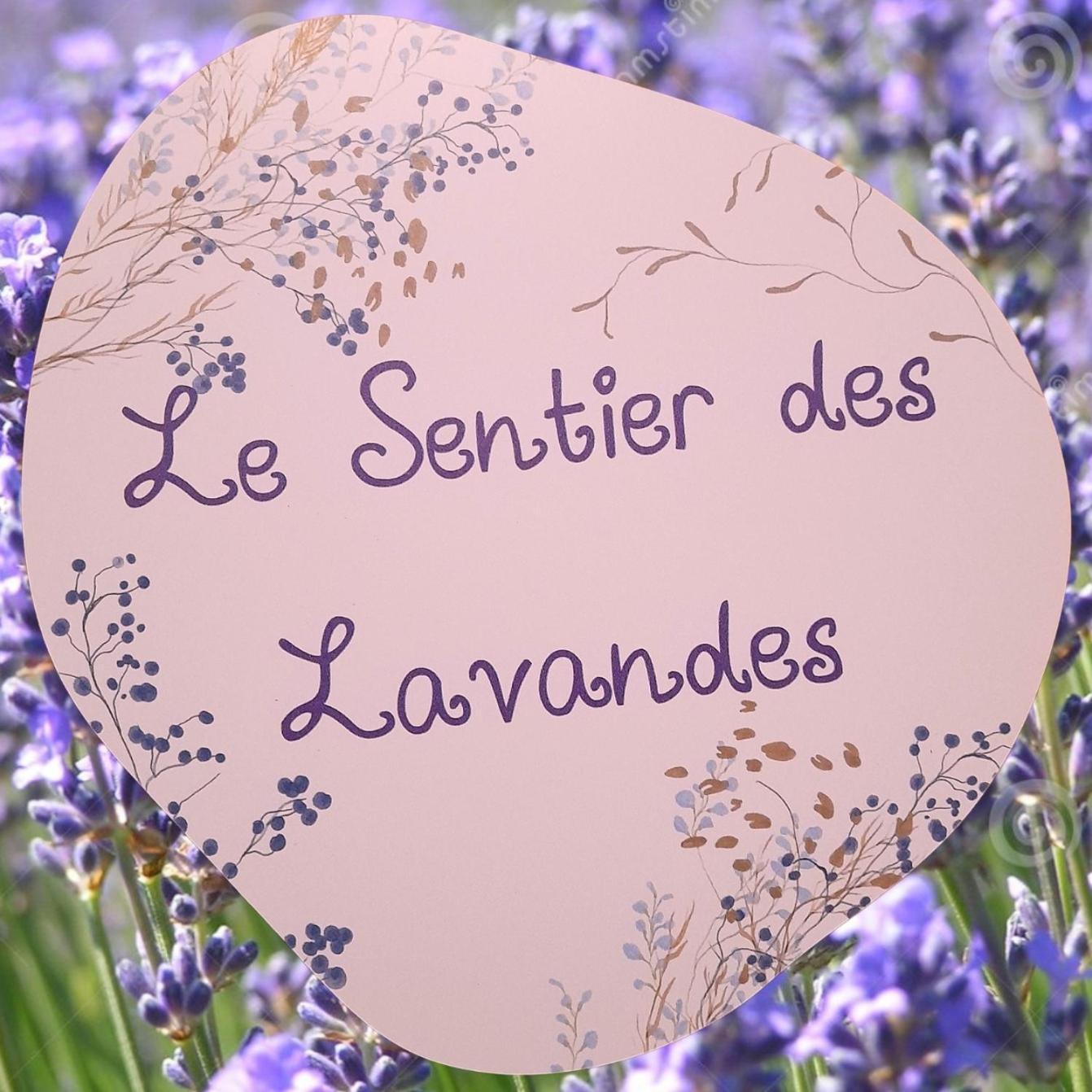 Le Sentier Des Lavandes ヴレス・シュル・スモワ エクステリア 写真